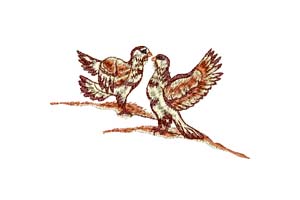 bird embroidery designs