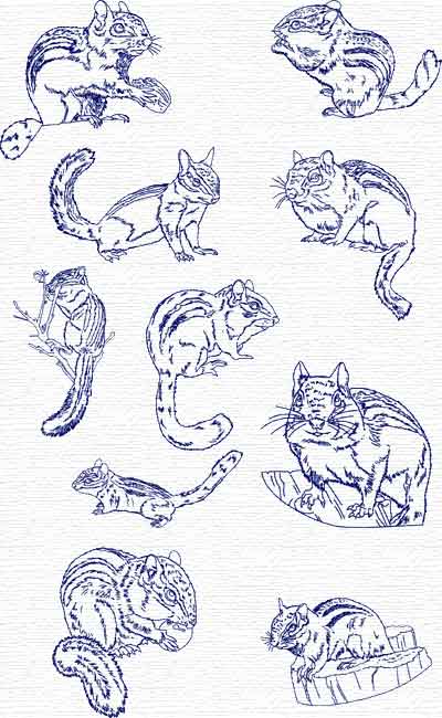 Chipmunks embroidery designs