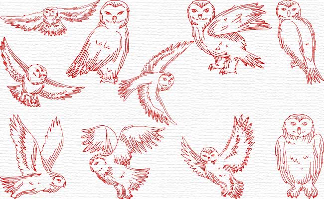 RW Owls embroidery designs