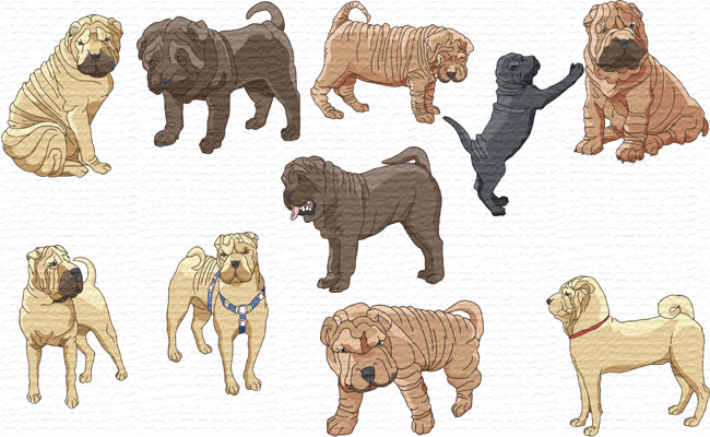 Shar Pei Dogs embroidery designs