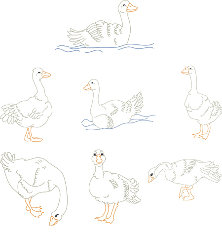 swan embroidery designs